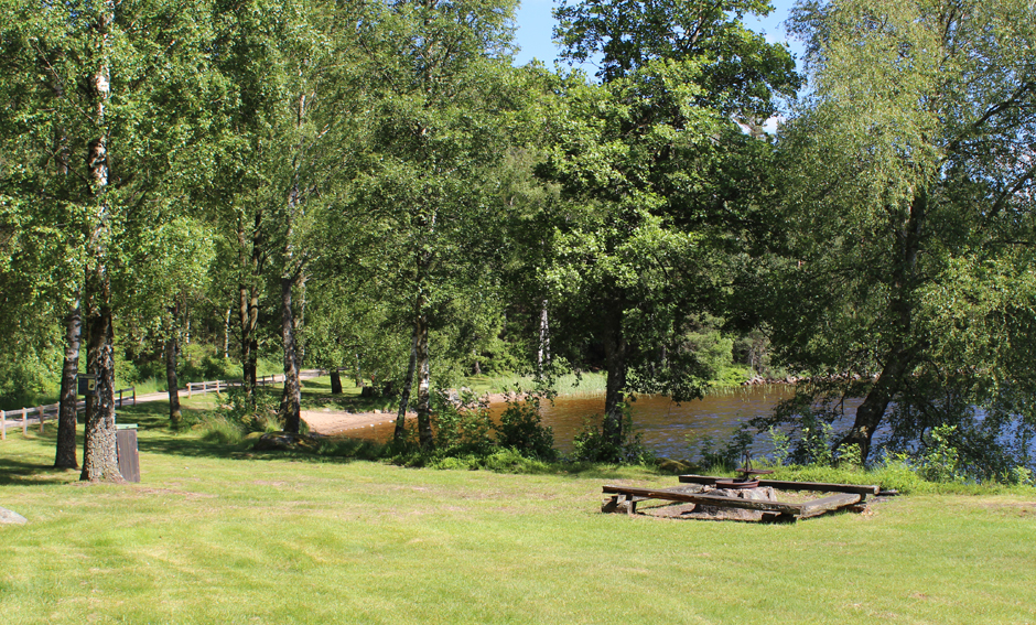 Stor gräsmata vid Vitasjöns badplats